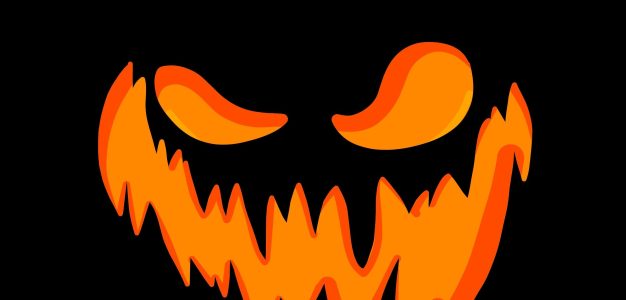Halloween au parc animalier : animations, nocturne et frissons en famille !
